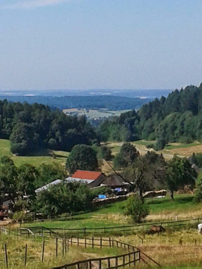 Fewo Am Neckarsteig Neckarsteinach Buitenkant foto