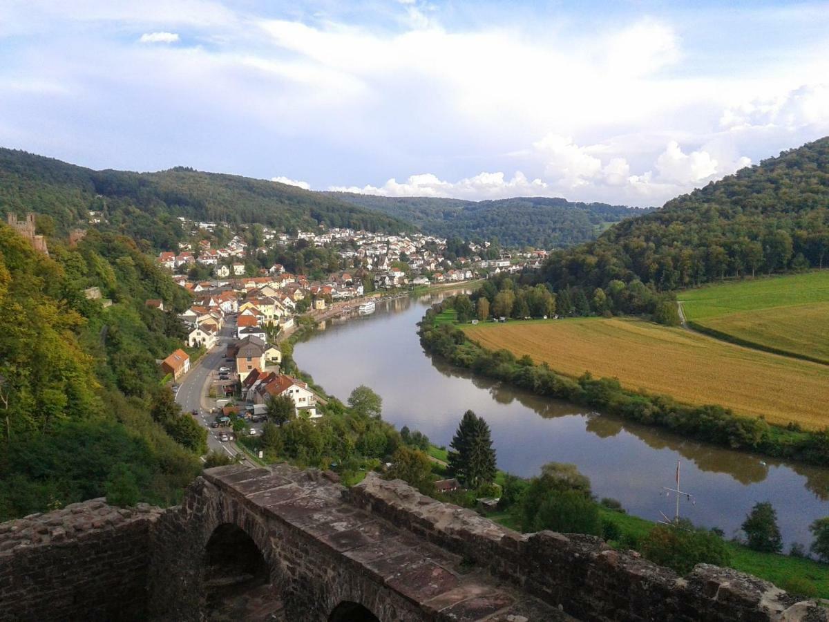 Fewo Am Neckarsteig Neckarsteinach Buitenkant foto