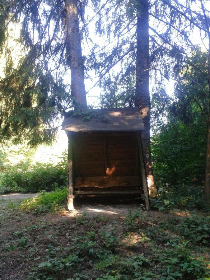 Fewo Am Neckarsteig Neckarsteinach Buitenkant foto