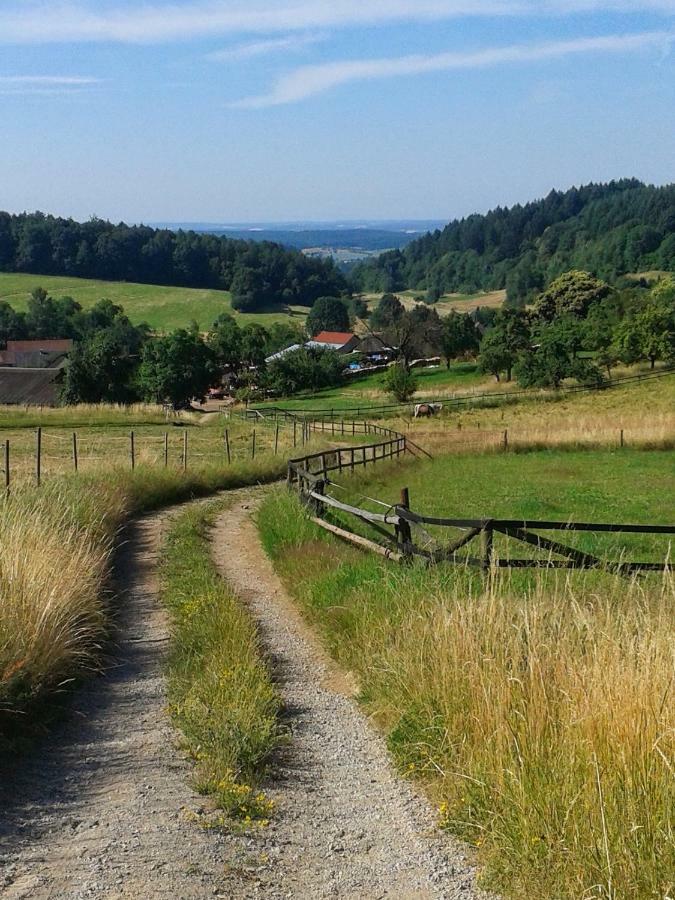 Fewo Am Neckarsteig Neckarsteinach Buitenkant foto