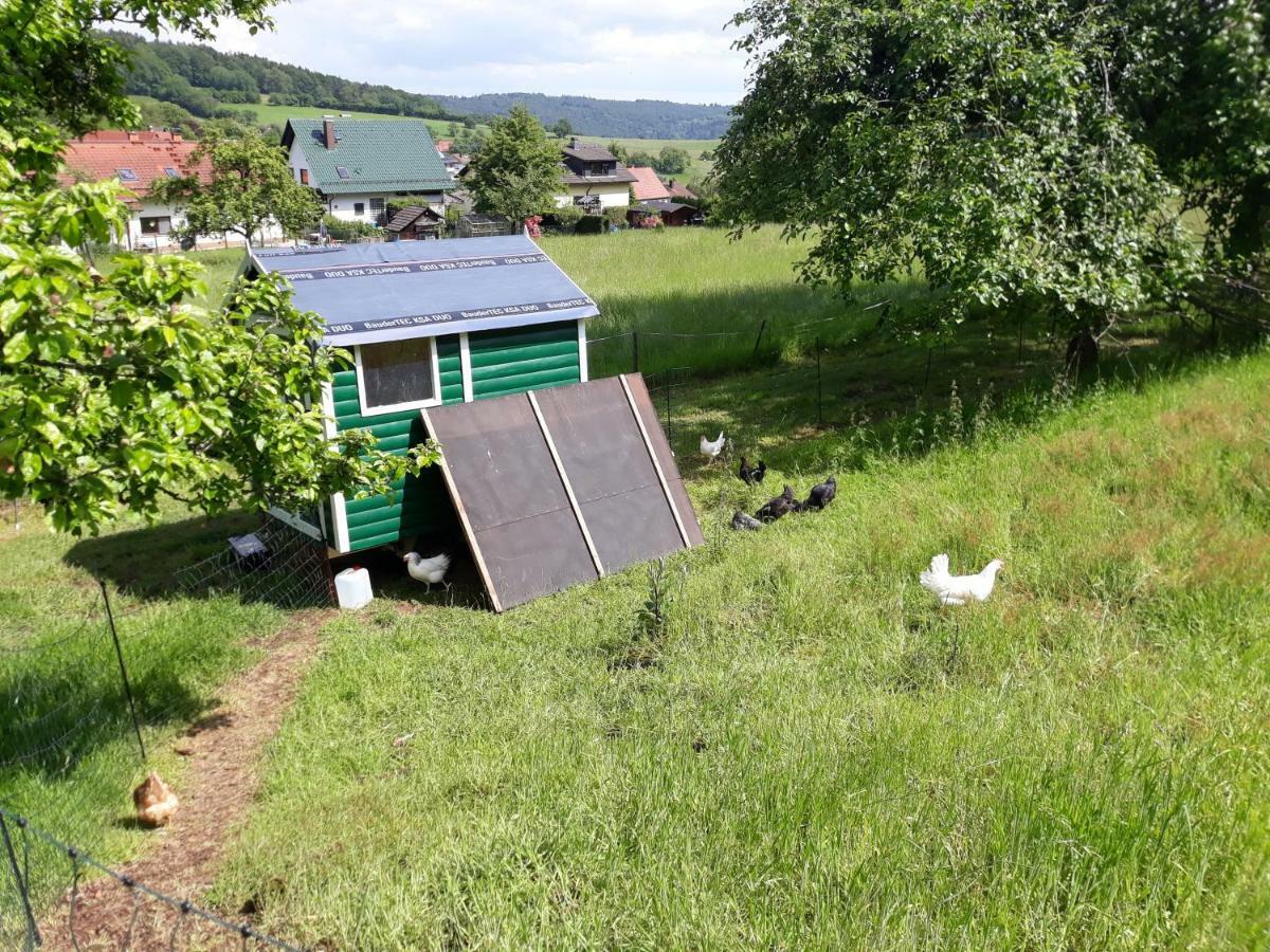 Fewo Am Neckarsteig Neckarsteinach Buitenkant foto